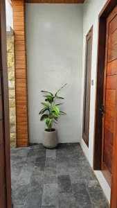 Exterior Vl 028 01