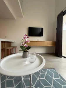 Living Room Vl 026 04