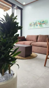 Living Room Vl 028 01