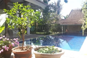 Pool Vl 003 01