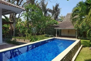 Pool Vl 003 05