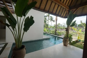 Pool Vl 006 01
